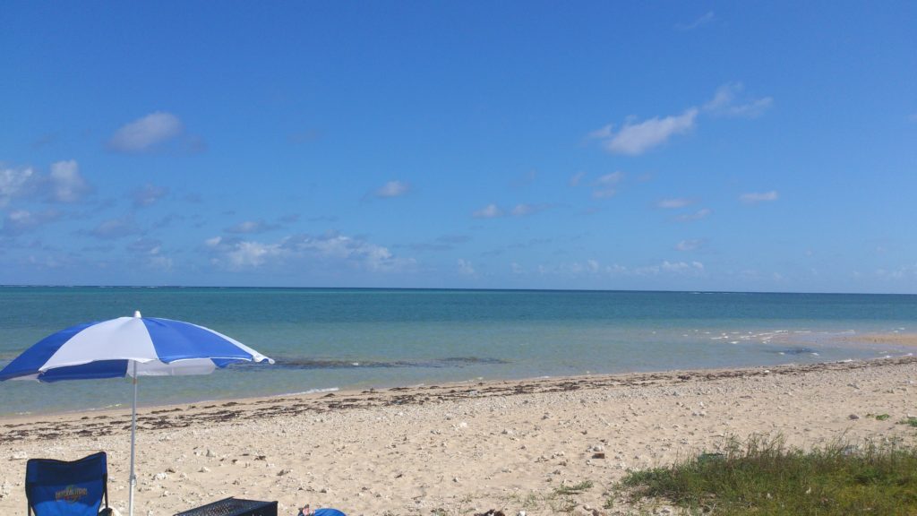 ちょい悪！！単身赴任のすすめ