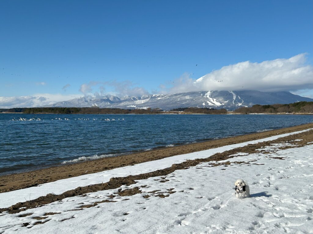 磐梯山、猪苗代湖