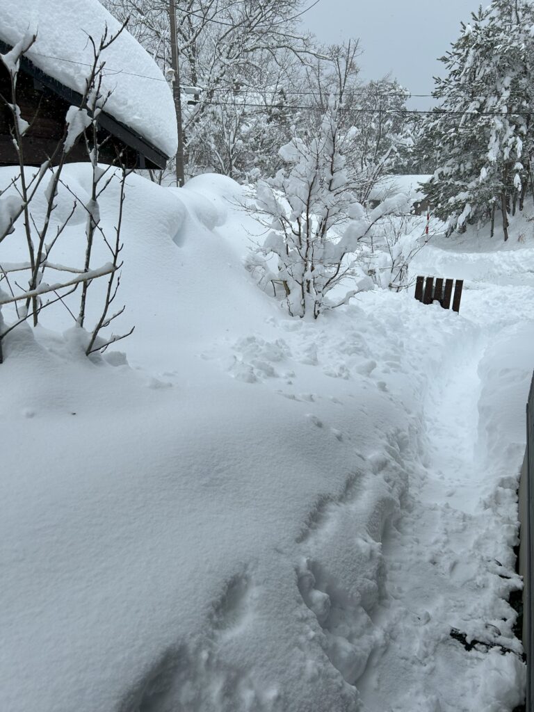 雪の風景～猪苗代の家～