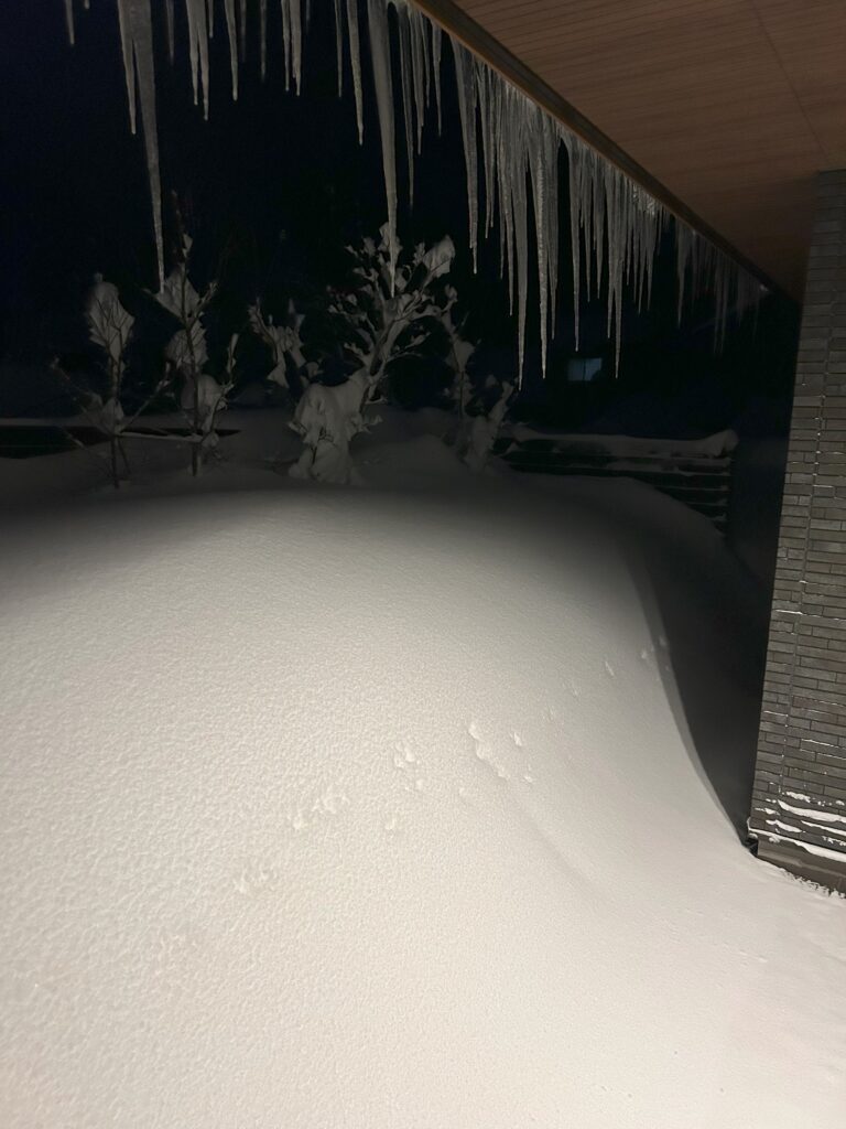 雪の風景～猪苗代の家～