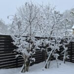 猪苗代の雪景色